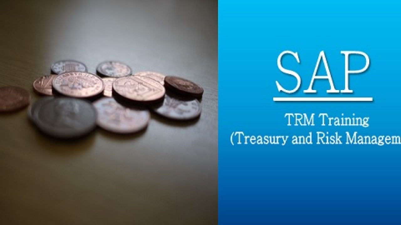 Sap Treasury Or Trm Online Training Optnation