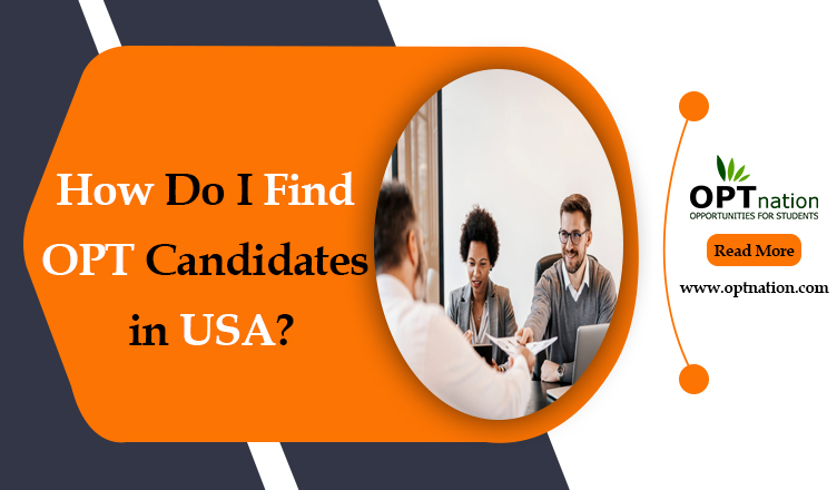 how-do-i-find-opt-candidates-in-usa-opt-resumes-optnation